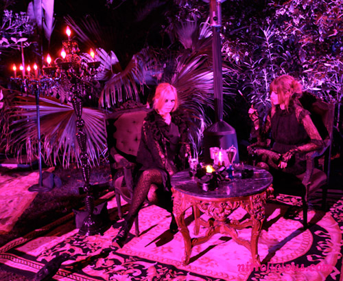 WITCHES Collection