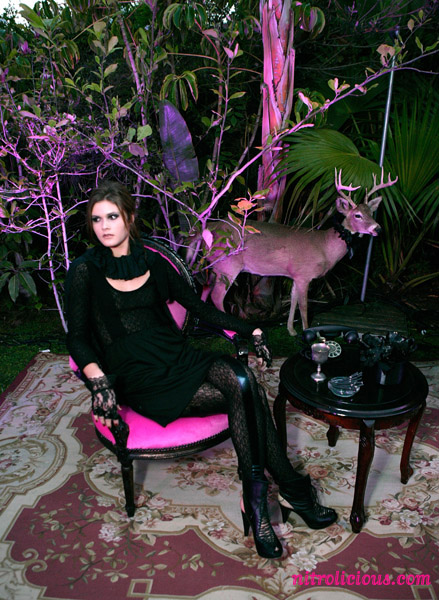 WITCHES Collection