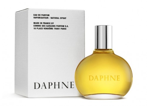 daphne-fragrance
