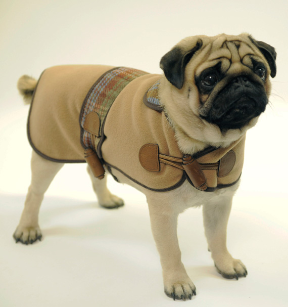 Mulberry Launches Dog Collection