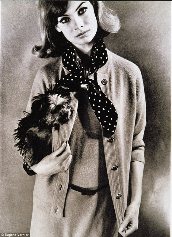 dogs-in-vogue-look-02