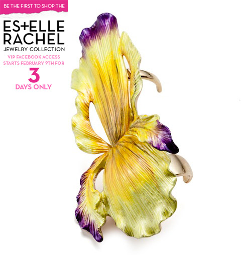 Estelle x Rachel Roy Jewelry Collection VIP Facebook Access