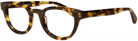 141 Eyewear   One Four One