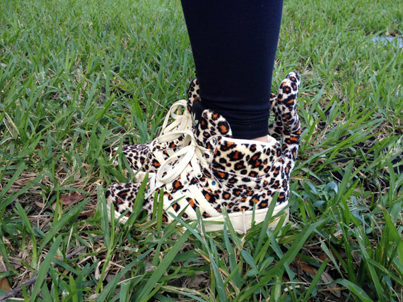 Miami March 2012 Photo Diary
