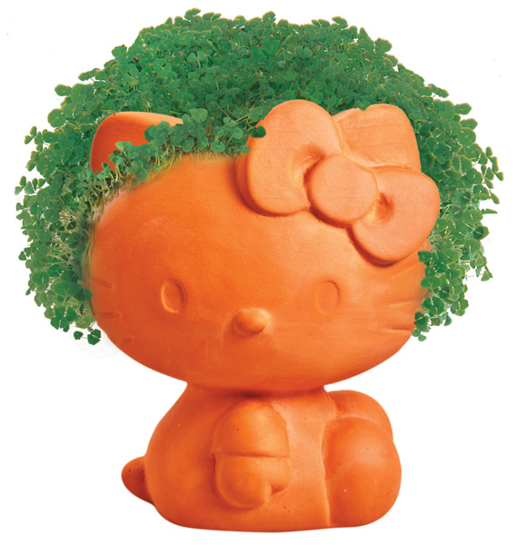 Hello Kitty Chia Pet for Earth Day