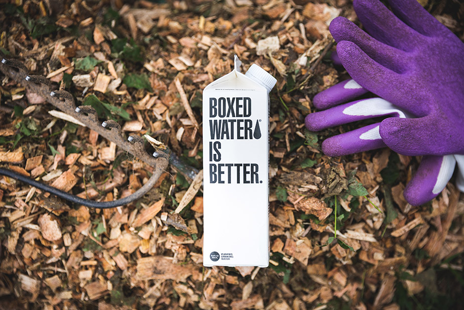 Boxed Water Immersion Day in Grand Rapids